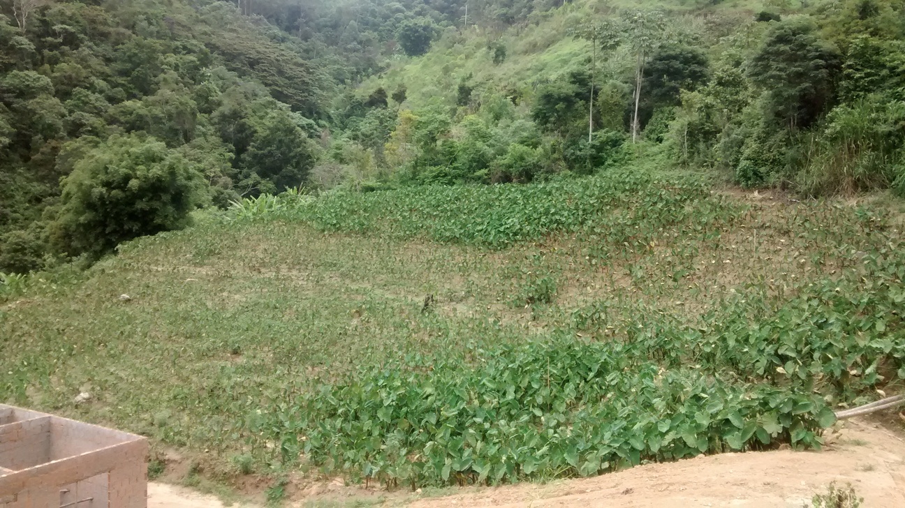 Terreno em Lumiar com linda vista em local preservado.